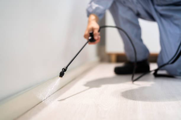 Licensed Cockroach Control service in Sabina, OH - Nex Pest Control