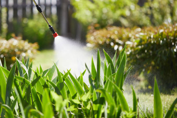 24/7 Emergency Cockroach Control experts in Sabina, OH